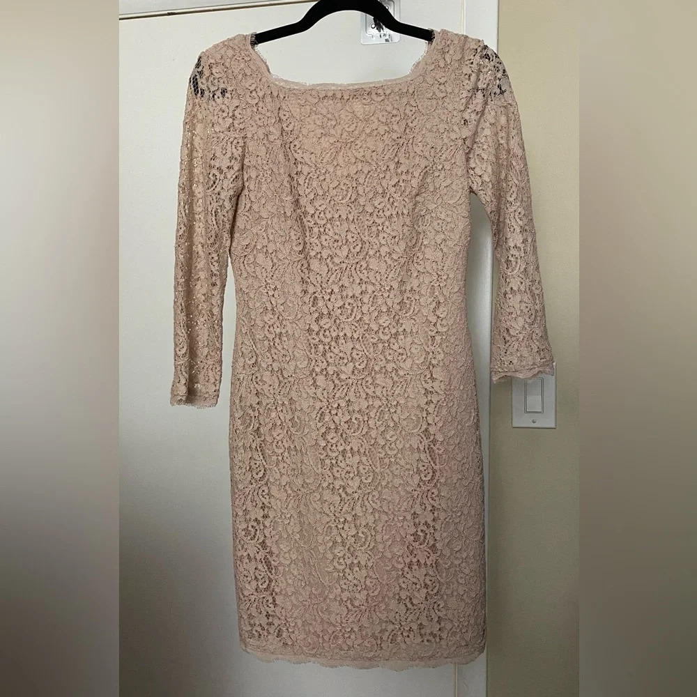 Adrianna Papell Evening Lace 3/4 Sleeve Nude Pink Dress Size 4